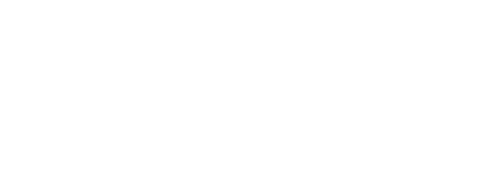 elysian brewing