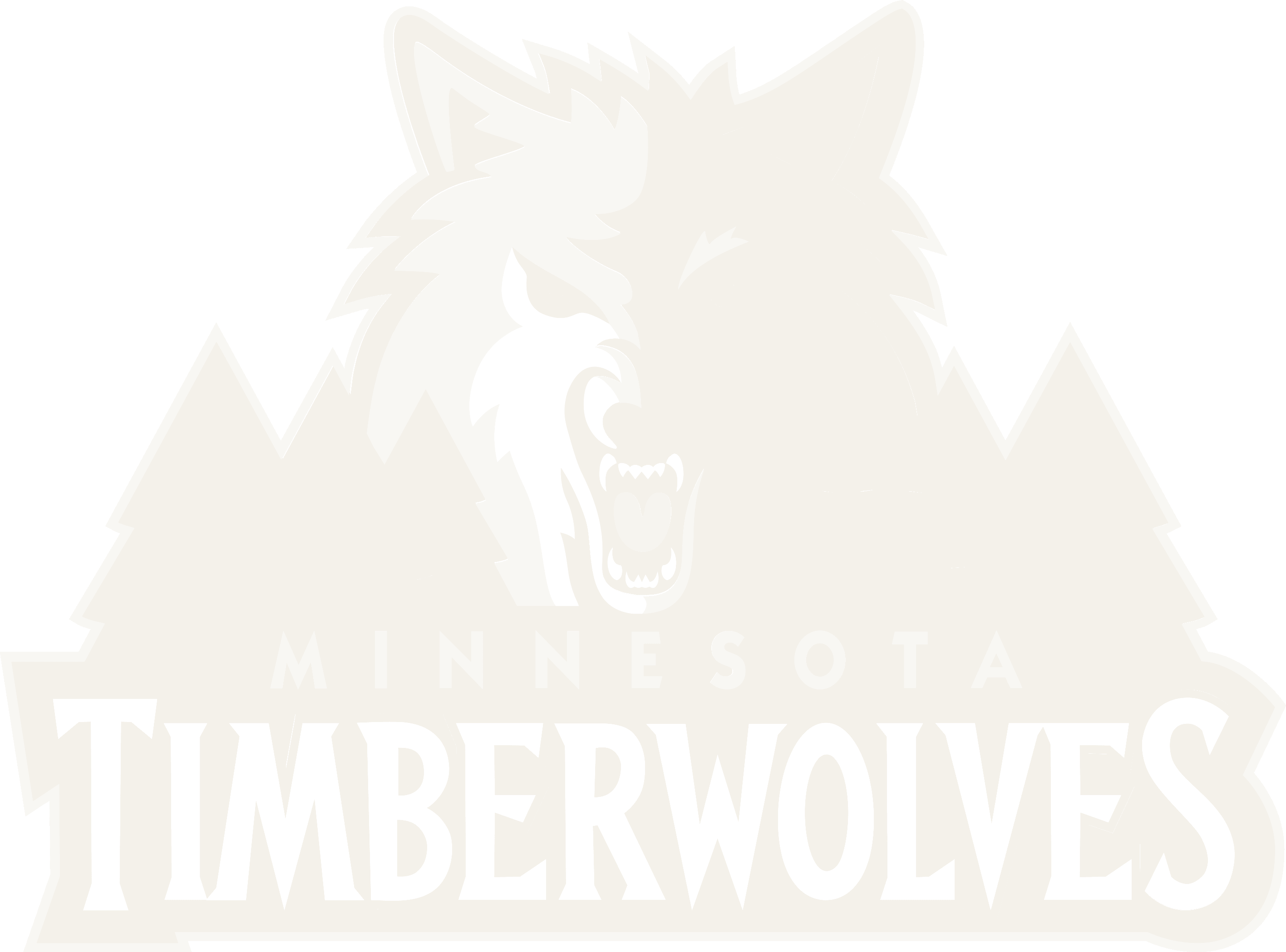 minnesota timberwolves