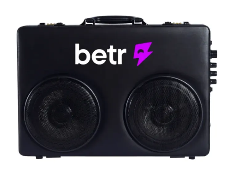 Custom Bassmaker speaker, run 36