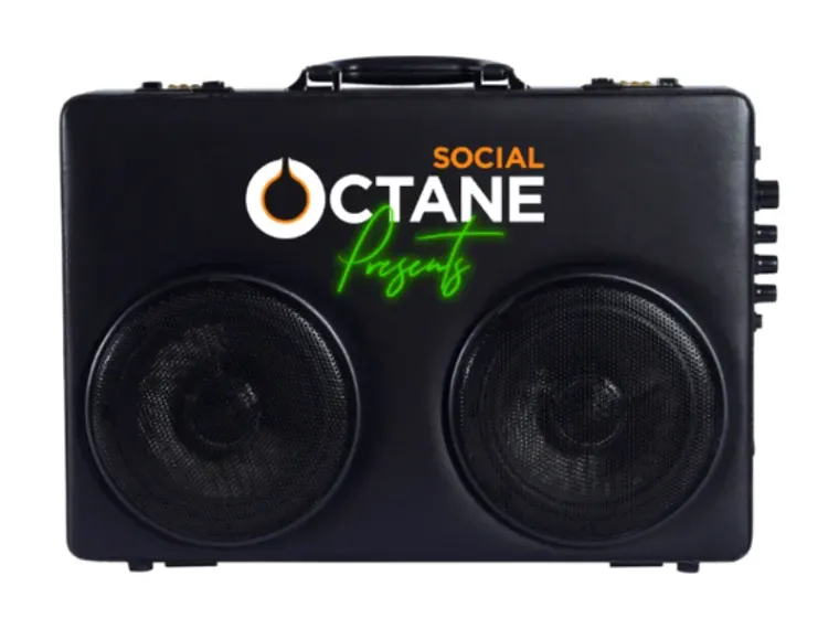 Custom Bassmaker speaker, run 38
