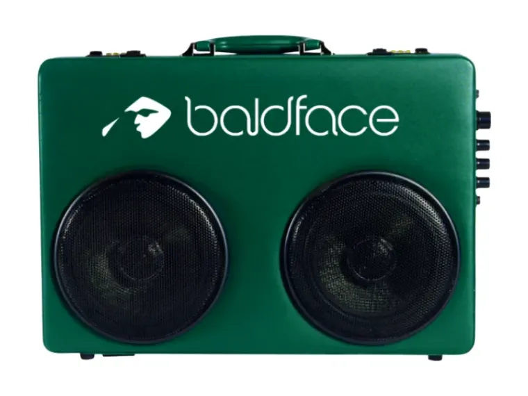 Custom Bassmaker speaker, run 21