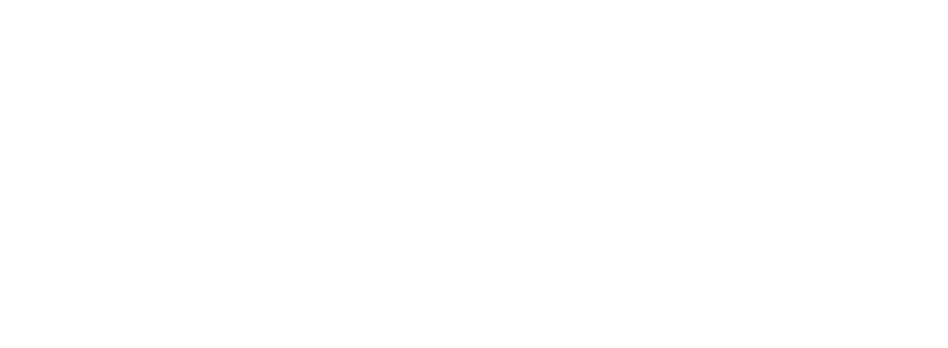 elysian brewing